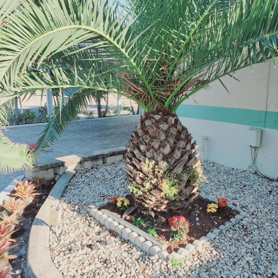 Tropical Palm Motel Норт-Форт-Майерс Экстерьер фото