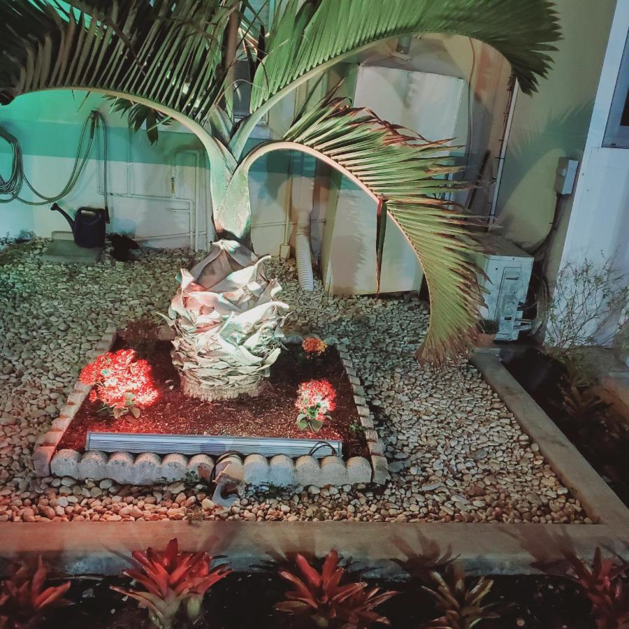 Tropical Palm Motel Норт-Форт-Майерс Экстерьер фото